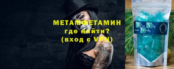 ПСИЛОЦИБИНОВЫЕ ГРИБЫ Богданович