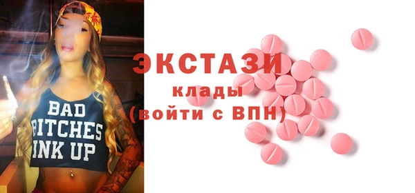 шишки Богородицк