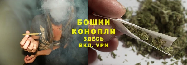 шишки Богородицк