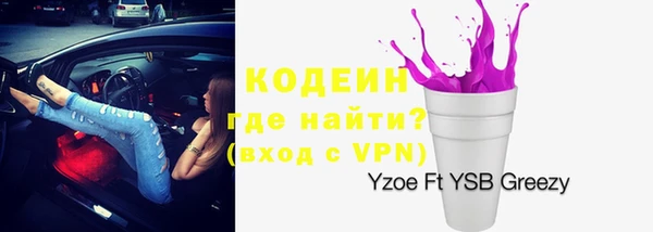 ПСИЛОЦИБИНОВЫЕ ГРИБЫ Богданович