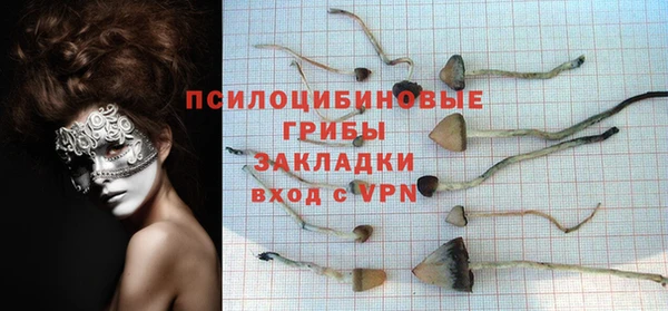 ПСИЛОЦИБИНОВЫЕ ГРИБЫ Богданович