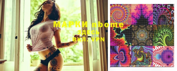 шишки Богородицк