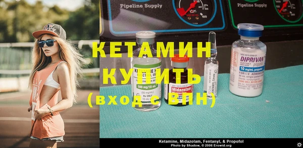 шишки Богородицк
