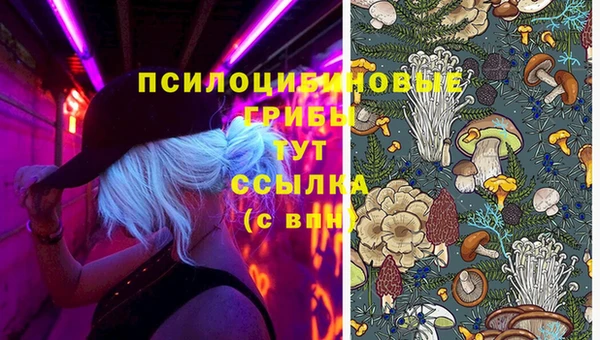 ПСИЛОЦИБИНОВЫЕ ГРИБЫ Богданович