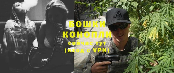 шишки Богородицк
