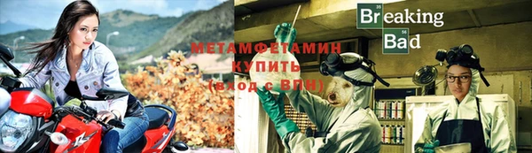 шишки Богородицк