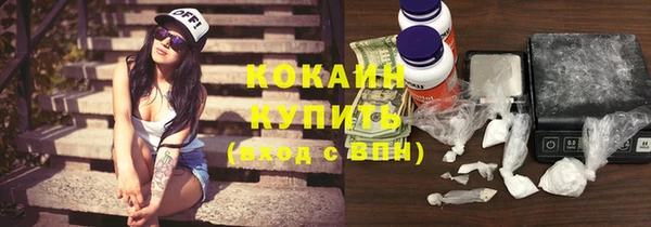 ПСИЛОЦИБИНОВЫЕ ГРИБЫ Богданович