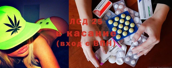 ПСИЛОЦИБИНОВЫЕ ГРИБЫ Богданович