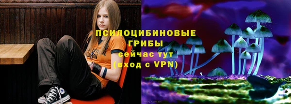 ПСИЛОЦИБИНОВЫЕ ГРИБЫ Богданович